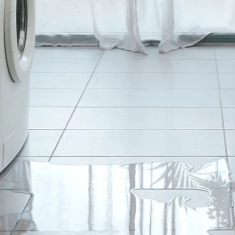 Appliance Leak Cleanup in Selma, NC