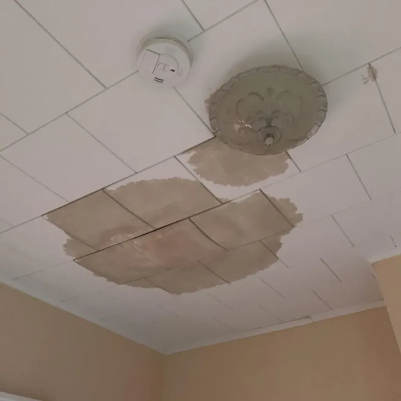 Ceiling Water Damage Repair in Selma, NC