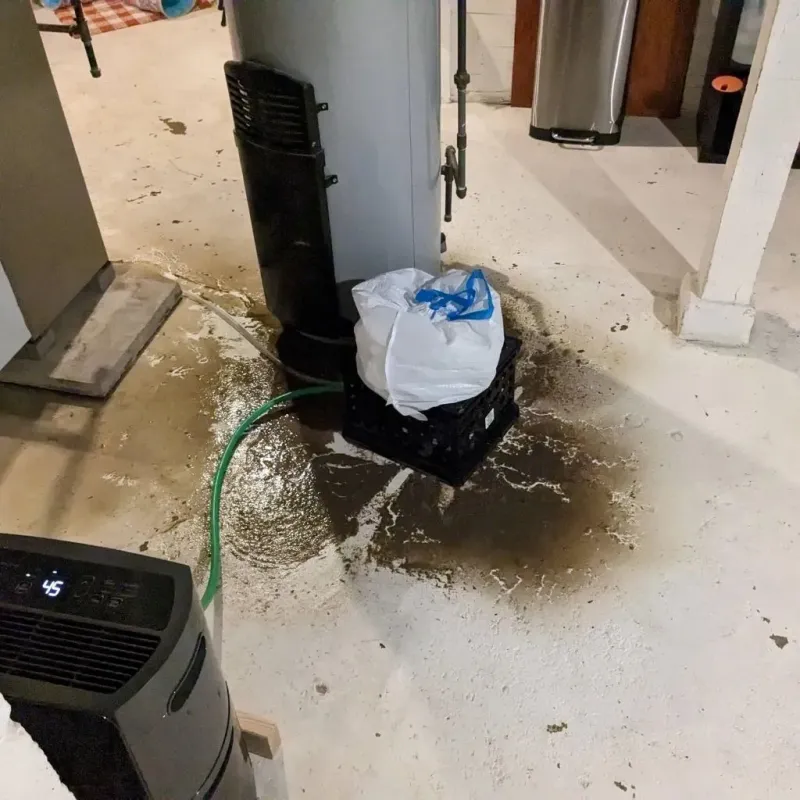 Sewage Backup Cleanup Service in Selma, NC